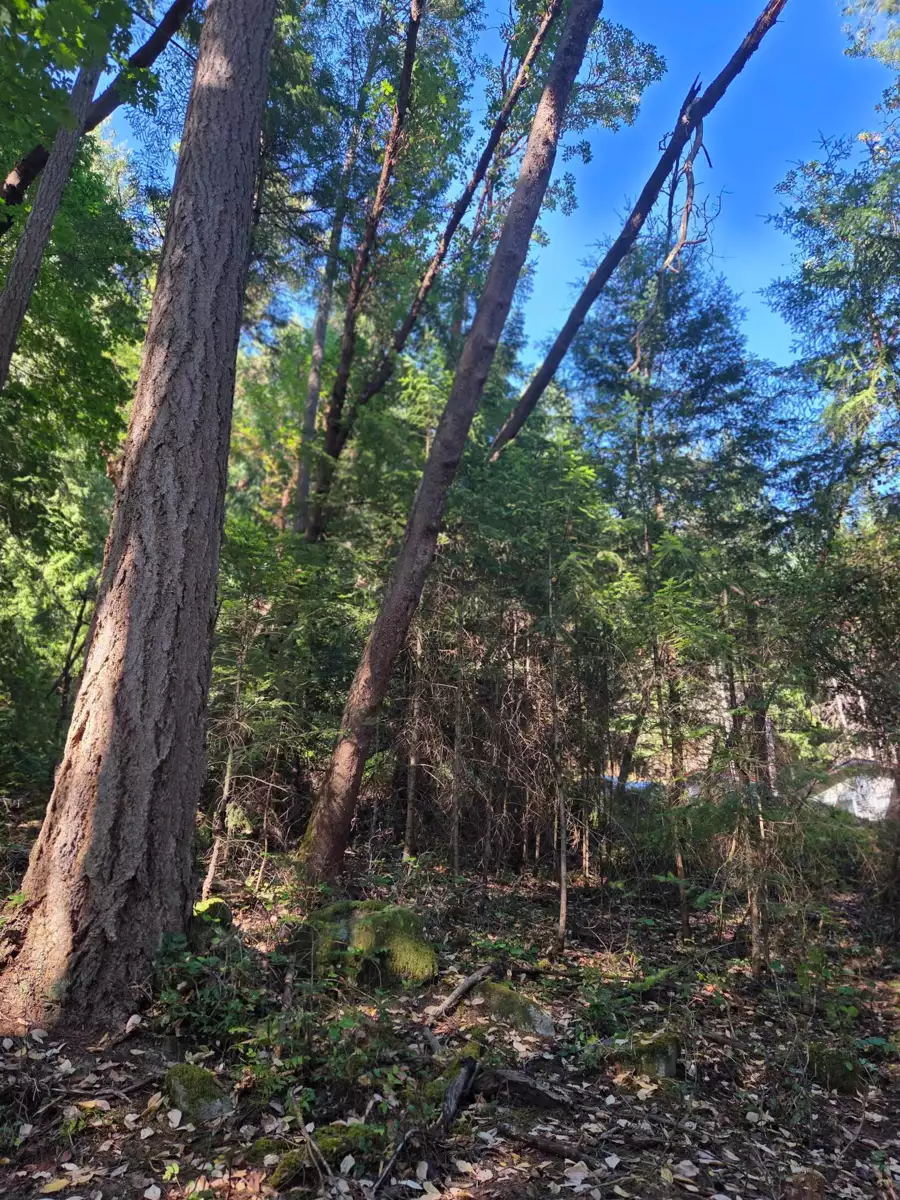 Kitchen Island Photo of 488 Letour Road, Mayne Island, BC