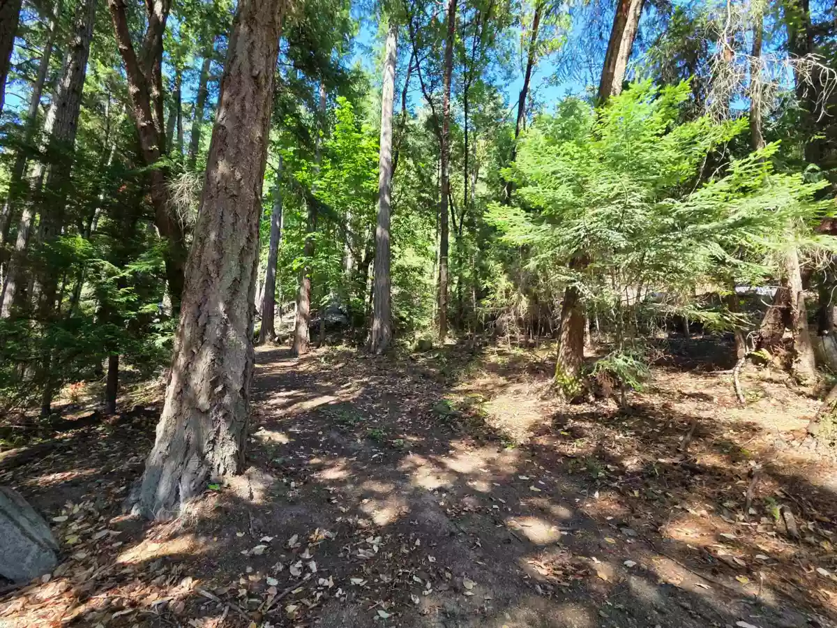 Kitchen Photo of 488 Letour Road, Mayne Island, BC