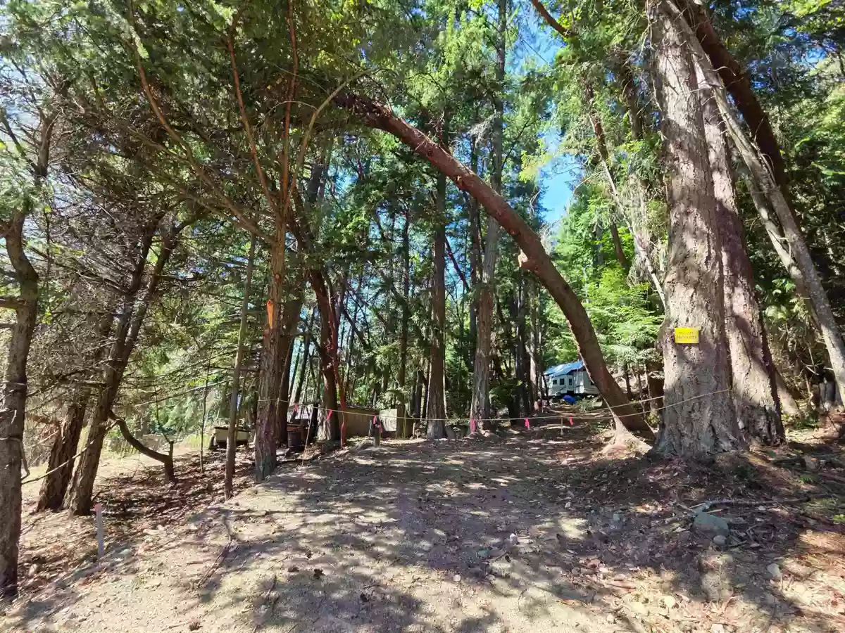 Living Room Photo of 488 Letour Road, Mayne Island, BC