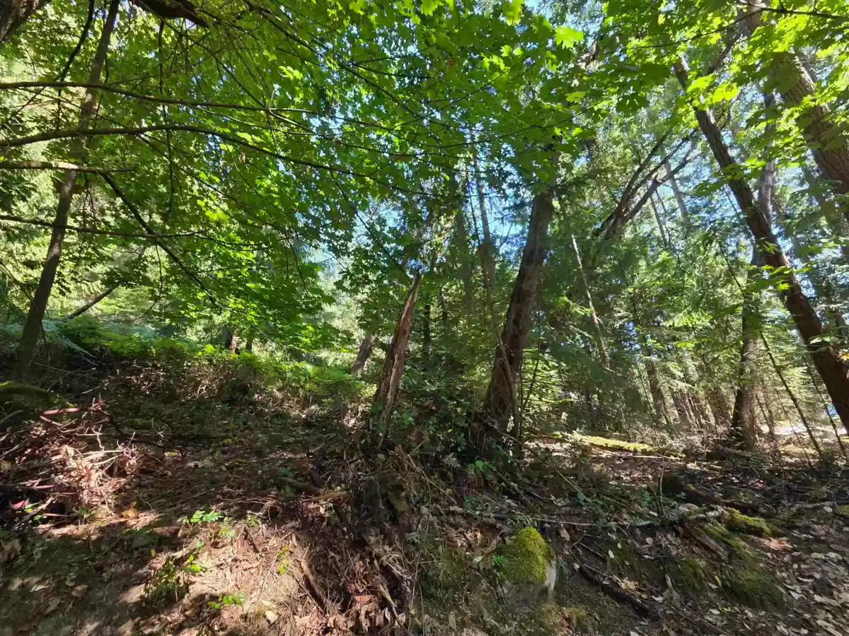 Pantry Photo of 488 Letour Road, Mayne Island, BC