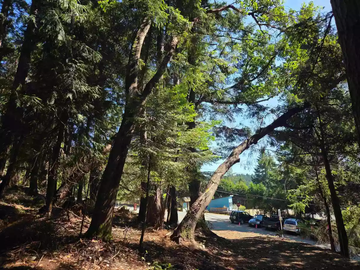 Primary Bathroom Photo of 488 Letour Road, Mayne Island, BC