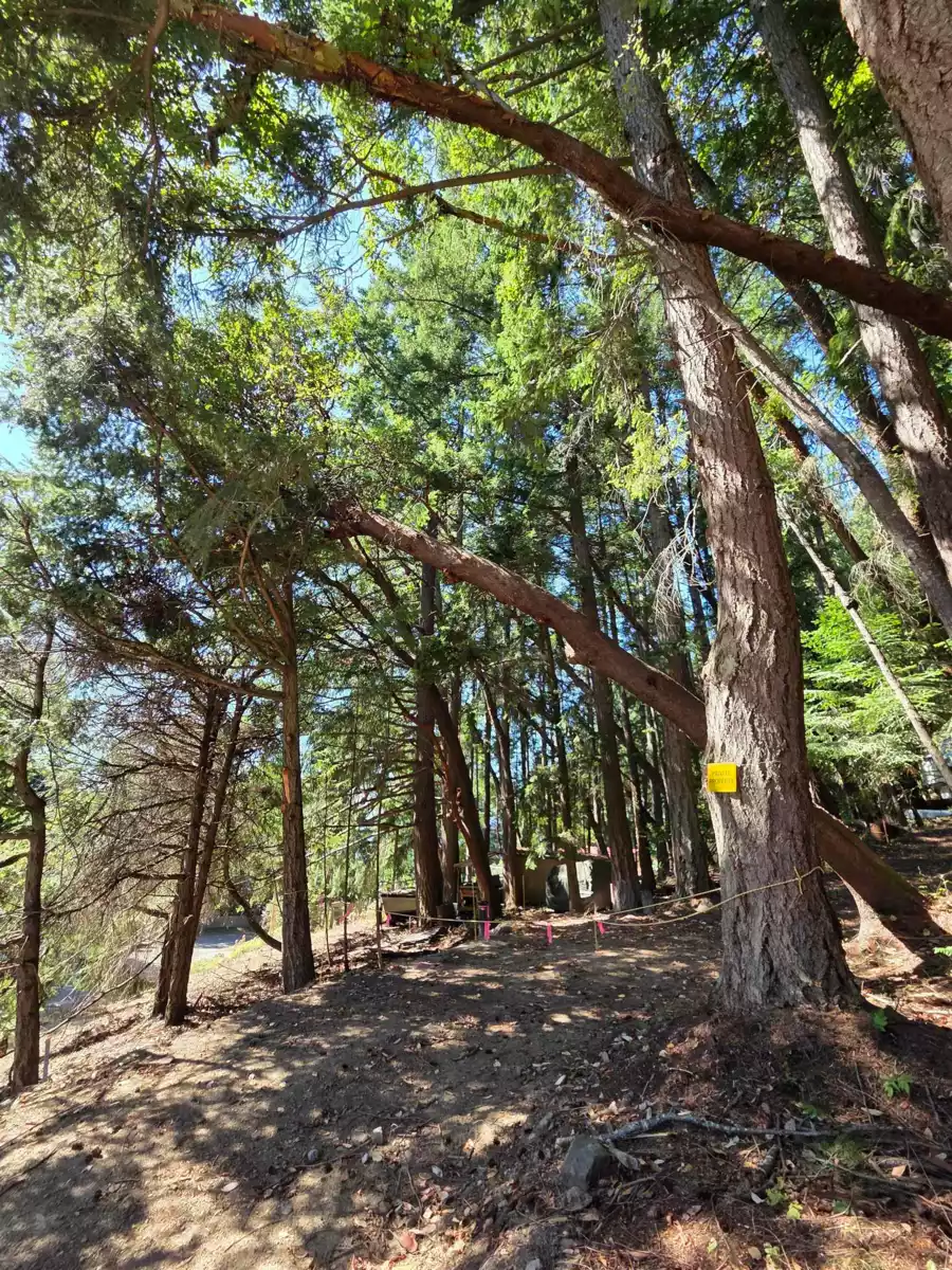 Staircase Photo of 488 Letour Road, Mayne Island, BC