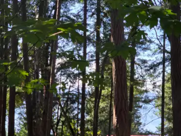 488 Letour Road, Mayne Island, BC, Mayne Island —  bed land for sale