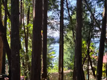 Exterior Rear Photo of 488 Letour Road, Mayne Island, BC