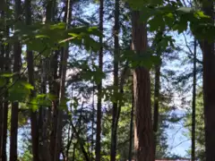 488 Letour Road, Mayne Island, BC