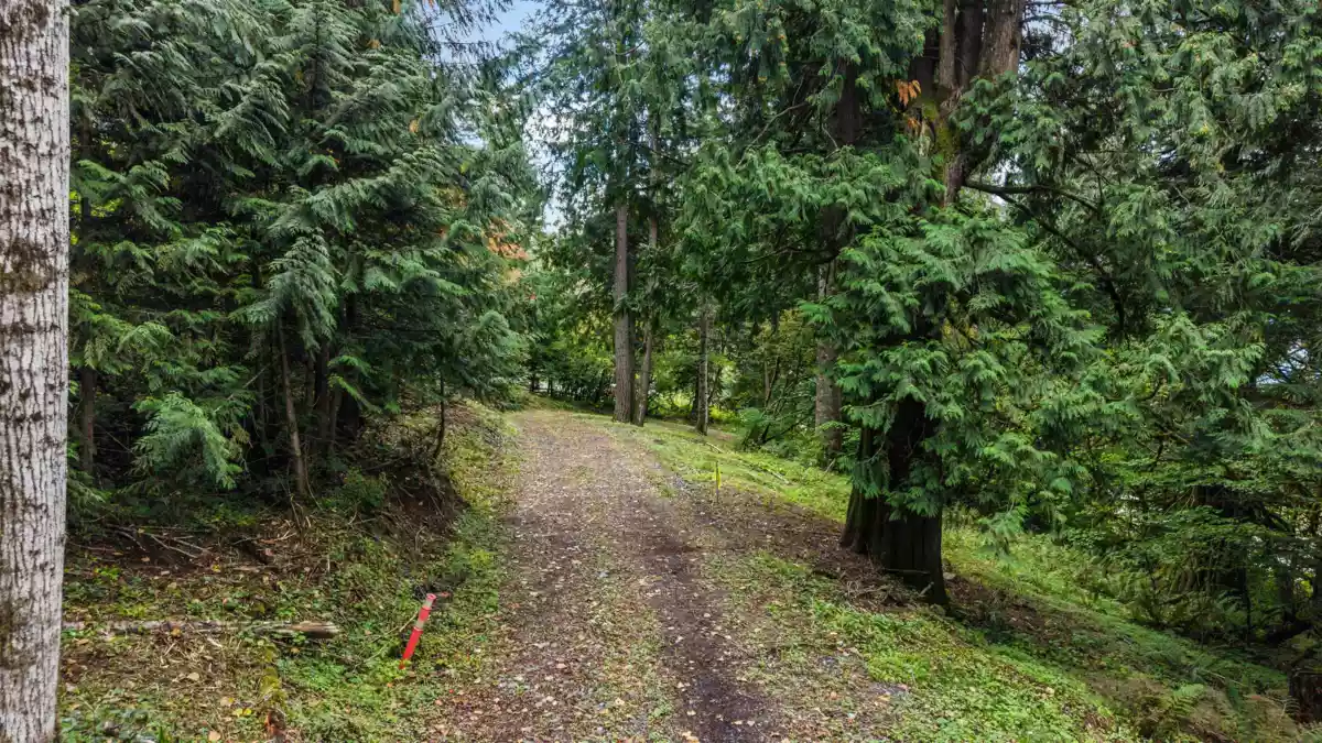 Exterior Rear Photo of 50290 Elk View Road, Chilliwack, BC