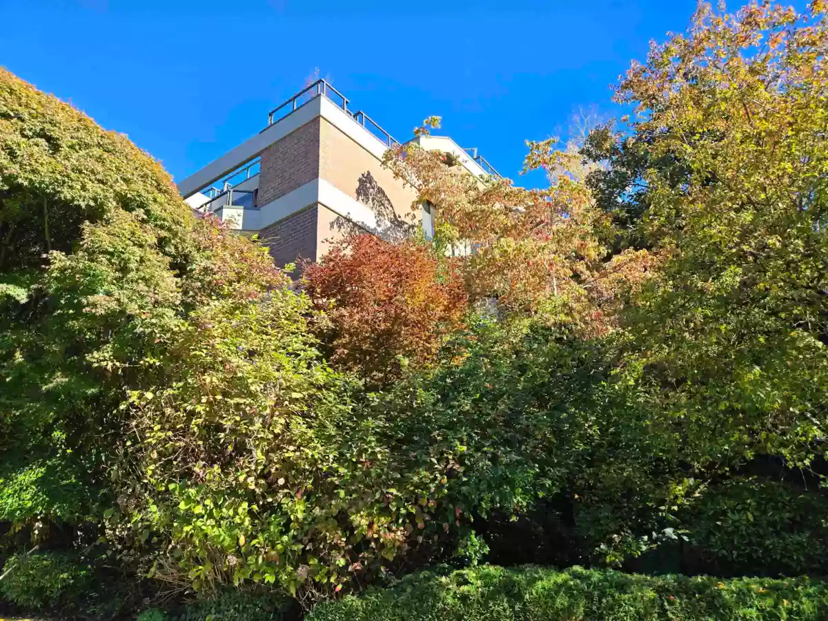 Aerial View of 311 3905 Springtree Drive, Vancouver, BC