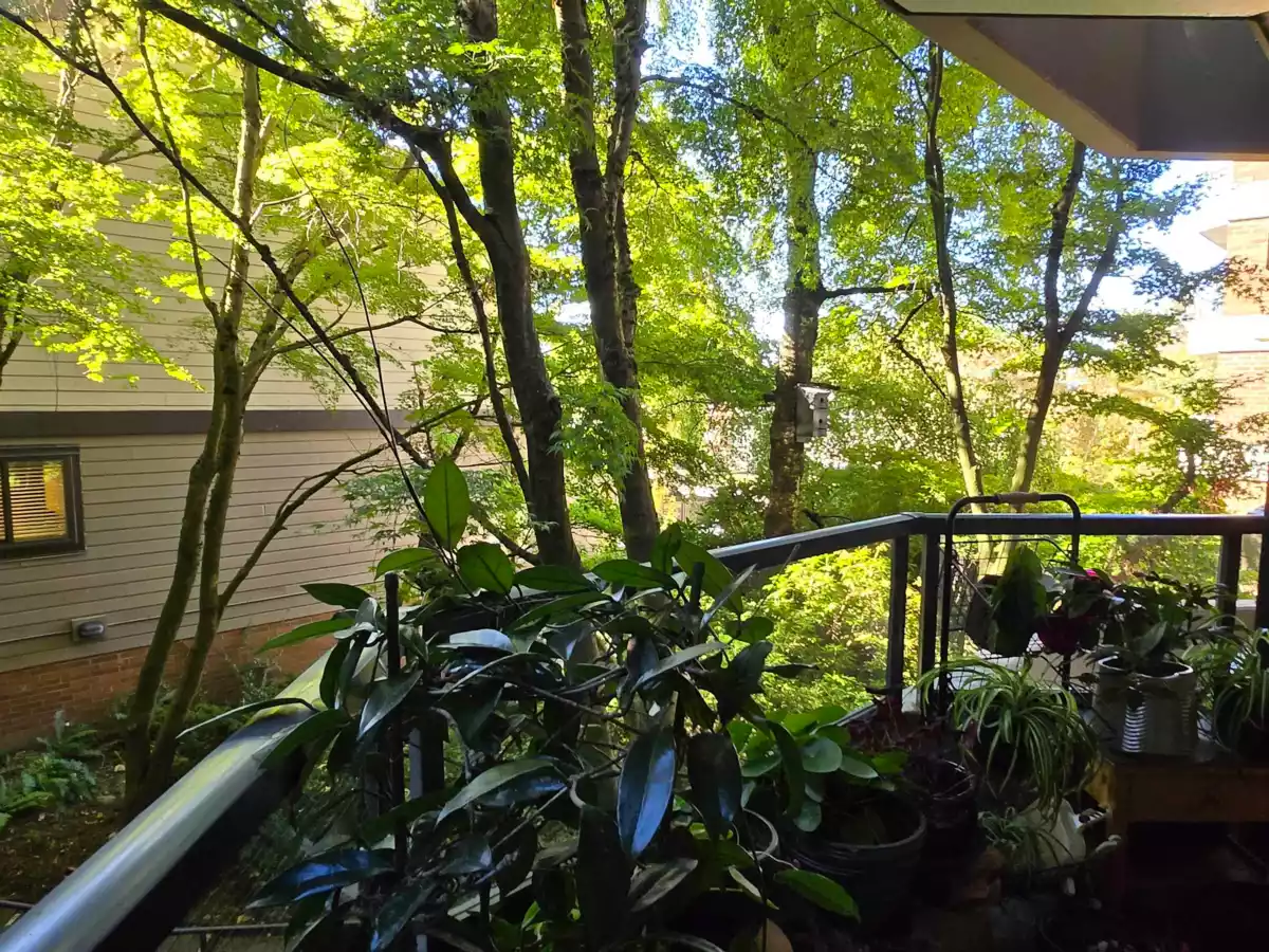 Laundry Room Photo of 311 3905 Springtree Drive, Vancouver, BC