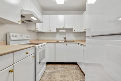 211 3624 Fraser Street, Vancouver, BC, Vancouver — Apartment/Condo for sale