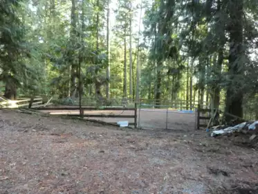 14042 232 Street, Maple Ridge, BC