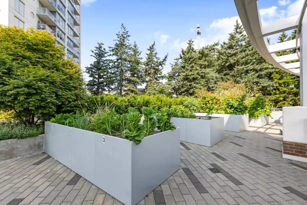 Outdoor Kitchen Photo of 601 1441 Johnston Road, White Rock, BC