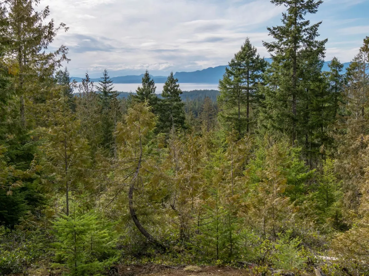 Garage Interior Photo of 9305 Stephens Way, Halfmoon Bay, BC