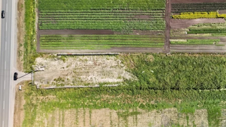 4179 176 Street, Surrey, BC, Surrey — Land for sale