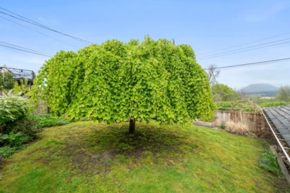 Front Yard Photo of 3765 Edinburgh Street, Burnaby, BC