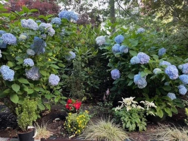 Hot Tub / Spa Photo of 102 736 W 14th Avenue, Vancouver, BC