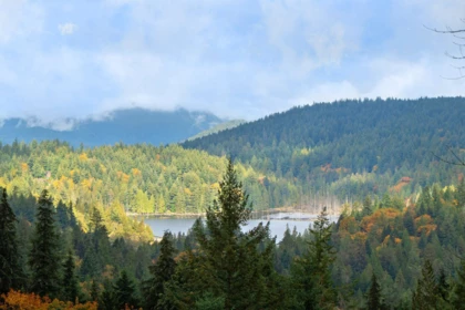 Pantry Photo of 675 Cates Lane, Bowen Island, BC