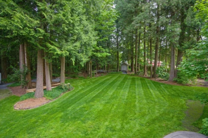 Front Yard Photo of 24165 65 Avenue, Langley, BC