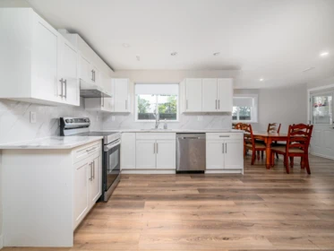 Aerial View of 3652 164a Street, Surrey, BC