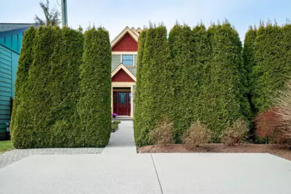 Backyard Photo of 674 Colinet Street, Coquitlam, BC