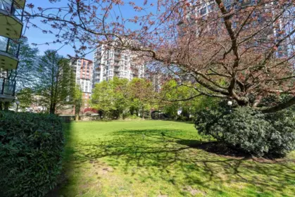 Backyard Photo of 607 55 Tenth Street, New Westminster, BC