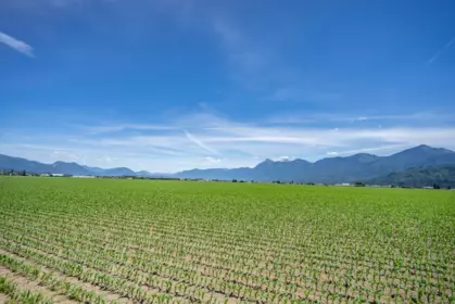 Hot Tub / Spa Photo of 97 46213 Hakweles Road, Chilliwack, BC