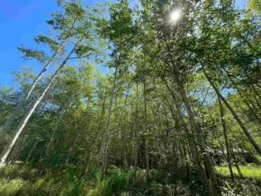 107 Sunset Boulevard, Saturna Island, BC, Saturna Island — Land for sale