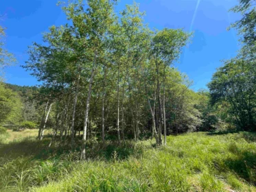 107 Sunset Boulevard, Saturna Island, BC, Saturna Island — Land for sale