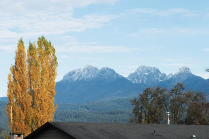 Backyard Photo of 20898 125 Avenue, Maple Ridge, BC