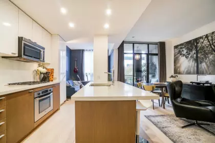 Entry Foyer Photo of 205 531 Beatty Street, Vancouver, BC