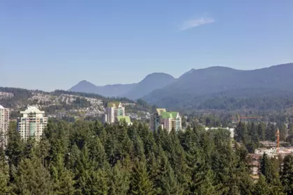 Pantry Photo of 2802 3080 Lincoln Avenue, Coquitlam, BC